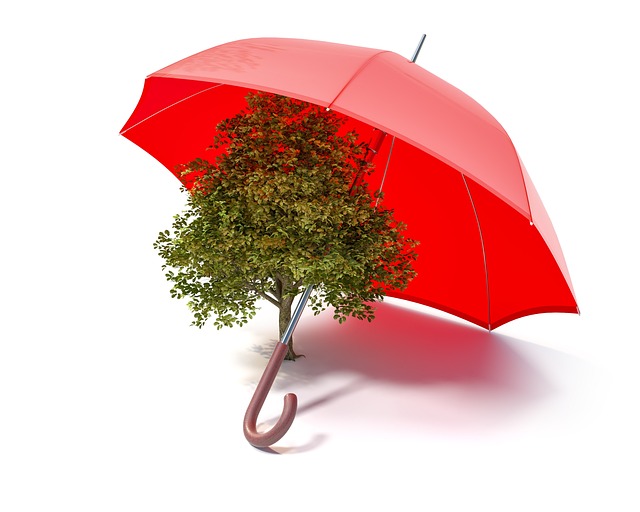 ecology, protect, protection, safety, nature, umbrella, symbol, tree, idea, icon, eco, concept, ecological, global, grass, green, friendly, environment, environmental, forest, earth, reforestation, recycling, ecosystem, eco-friendly, awareness, metaphor, safety, umbrella, umbrella, eco, reforestation, reforestation, reforestation, reforestation, reforestation, recycling, ecosystem, ecosystem, ecosystem, eco-friendly, eco-friendly, eco-friendly, eco-friendly, awareness